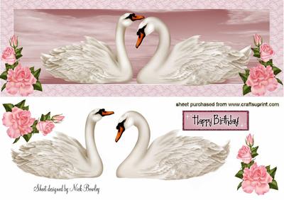 Pretty White Swans with Pink Roses in Lace Dl