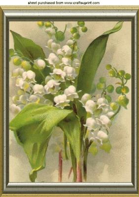 Beautiful Lily of the Valley Flowers in a Frame A4