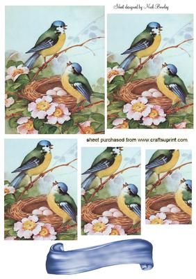 Pretty Blue Birds in a Nest Pyramids