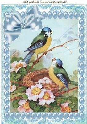 Pretty Blue Birds in a Nest with Pearls A4