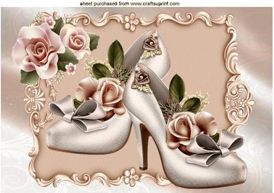 Pretty Shoes with Roses in Ornate Frame A4