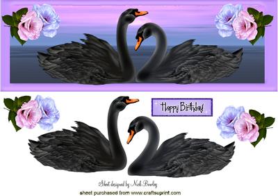 Beautiful Black Swans in Purple Haze Dl