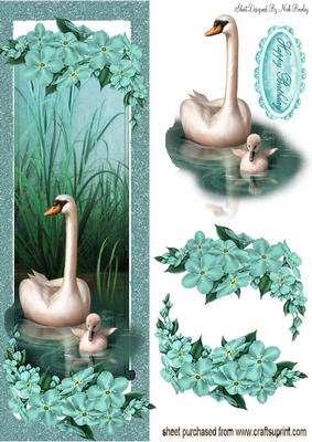 Baby Cygnet with Mum & Flowers Tall Dl