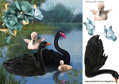 Beautiful Black Swans in the Lake with Cygnets 8x8