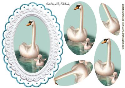 White Swan with Baby Cygnet in Ovaly Pyramids