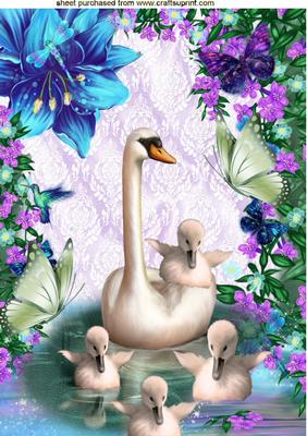 Swansong with Little Cygnets in Fantasy A4