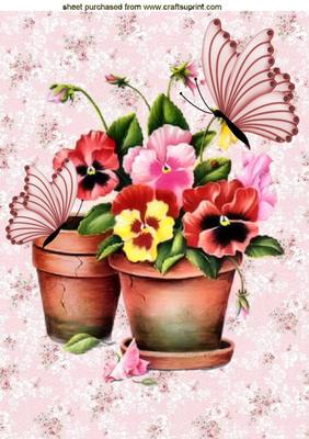 Potted Plants of Pansies and Butterflies A4
