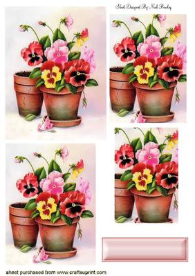 Potted Plants of Pansies Pyramids