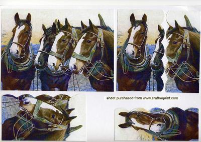 Beautiful Painting of Horses Wavy Side Stacker