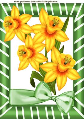 Golden Daffodils with Bow in Frame A4