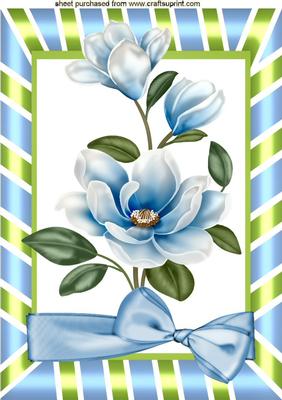 Pretty Blue Magnolias with Big Bow A4