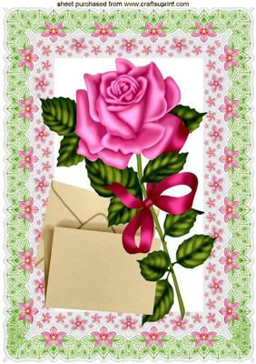 Single Pink Rose in Lace Frame A4