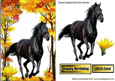 Beautiful Black Stallion in Autumn Woods