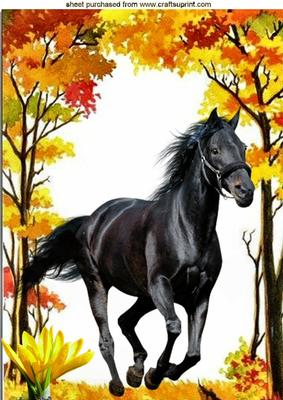 Beautiful Black Stallion in Autumn Woods A4