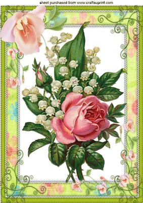 Roses with Lily of the Valley in Floral Frame A4