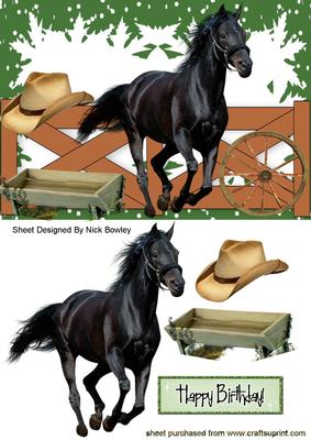 Black Stallion with Cowboy Hat & Fence