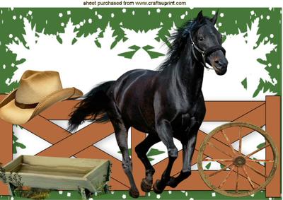 Black Stallion with Cowboy Hat & Fence A4