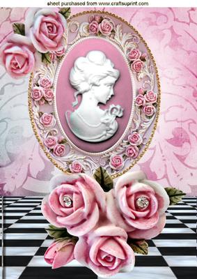 Pretty Cameo Lady with Roses in Frame A4