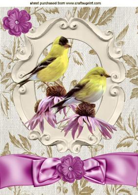 Yellow Birds with Pink Flowers and Bow A4