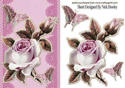 Pretty Pink Embossed Roses & Butterflies on Lace
