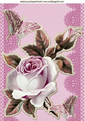Pretty Pink Roses & Butterflies on Lace A4
