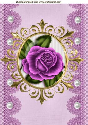 Pretty Pink Rose in Ornate Frame A4