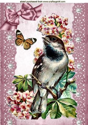 Pretty Bird on a Branch with Vintage Lace A4