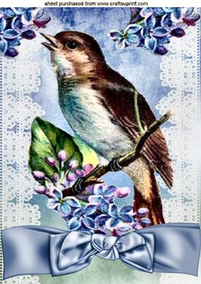 Vintage Bird on Lace Blue Bow A4