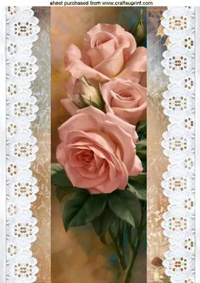 Broderie Anglaise Lace with Peach Roses A4