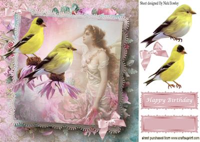 Pretty Yellow Birds on Flowers with Lady 8x8