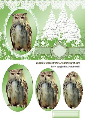 Gorgeous Tawny Owl with Christmas Trees Oval Pyramids