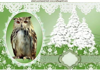 Gorgeous Tawny Owl with Christmas Trees A4