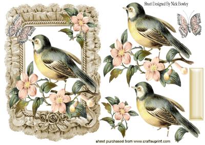 Pretty Song Bird with Peach Flowers in Frill Frame