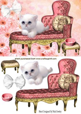 Princess White Fluffy Kitten on Chaise Lounge