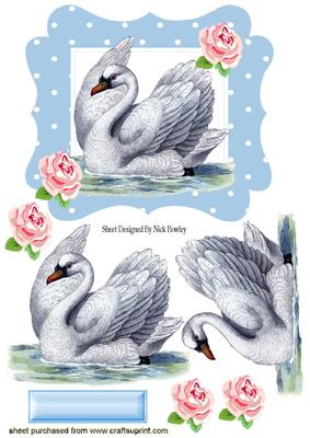 Pretty Vintage Swan in Polkadot Frame with Roses