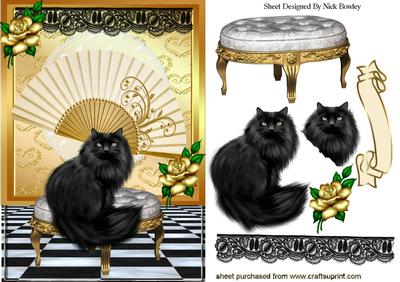 Black Persian with Green Eyes, & Gold Fan