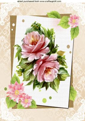 Pretty Pink Roses with Ornate Corners A4