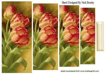 Pretty Red/yellow Tulips Pyramids