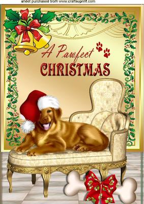 A Pawfect Christmas, with Dog in Santa Hat A4