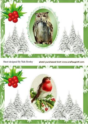 Christmas Robin and Tawny Owl Card Fronts