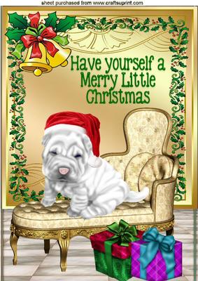 Wrinkles in Santa Hat with Pressies A4