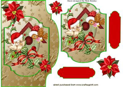 Lovely Robins in Bird House, Card with Topper