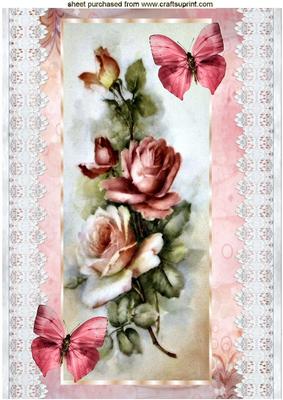 Shades of Pink Roses with Broderie Anglaise A4