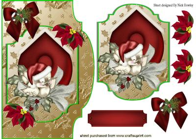 Cute Robin in Bird House Card Front, & Topper