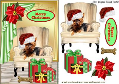 Little Yorkie Terrier in Santa Hat in a Chair