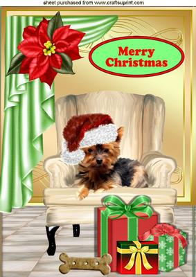 Little Yorkie Terrier in Santa Hat in a Chair A4