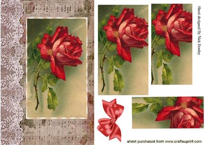 Red Rose on Music with Bow Pyramids