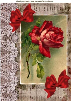 Red Rose on Music with Bows, A4