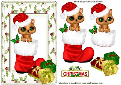 Ooh! Santas Been! Cute Kitten in Santa Boot
