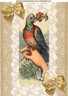 Vintage Bird on a Hand with Ecru Lace & Bows A4